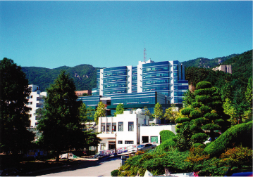釜山大学