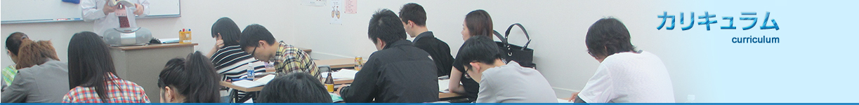 curriculum curriculum